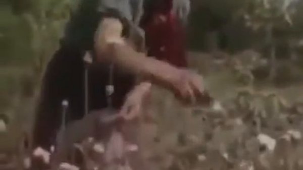 Вот теперь заживём! Юмор.