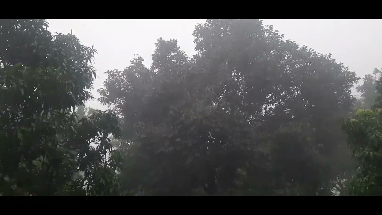 it,s raining today at my village,,heavy 🌧 🌦 🌂 ⛈ смотреть онлайн