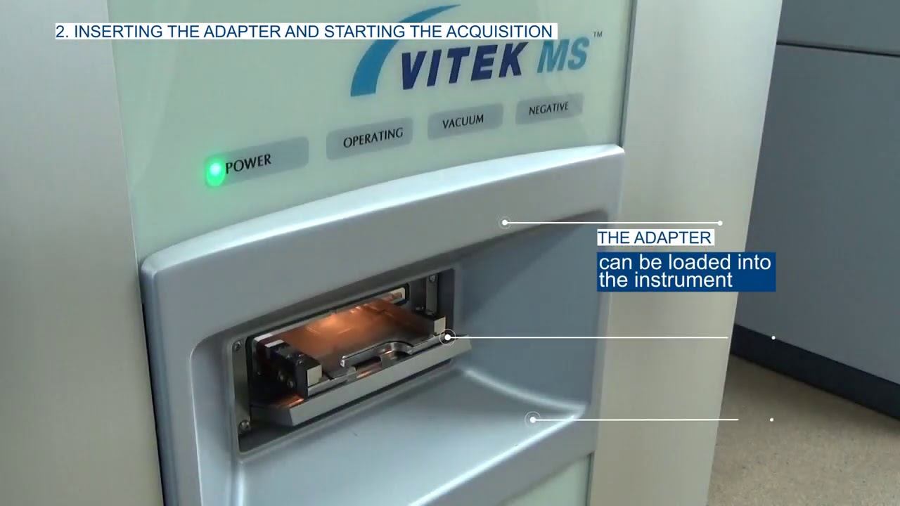 Tutorial 2 VITEK MS Sample Preparation & Analyse BIO-MERIEUx смотреть онлайн