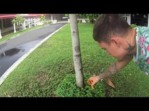 Похороны неудач 5 смотреть онлайн