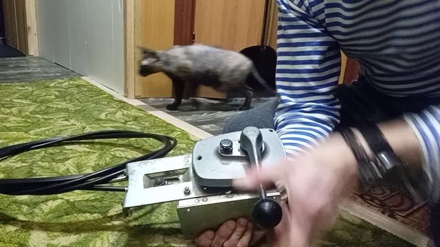 ДУ1 w1.mp4 смотреть онлайн