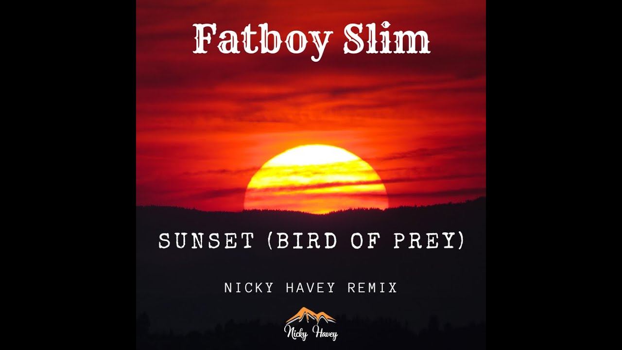 Fatboy Slim - Bird of Prey (Nicky Havey remix) | Drum & Bass смотреть онлайн