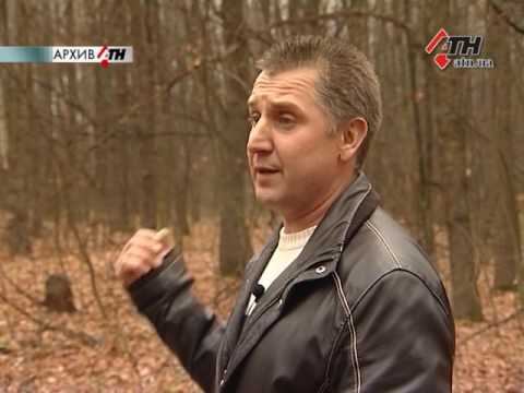 Харьковчанин доказал в Европе: в Украине в милиции пытали - 09.11.2016 смотреть онлайн