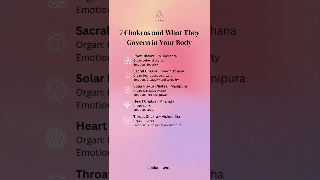 The 7 Chakras are energy centers in the body смотреть онлайн