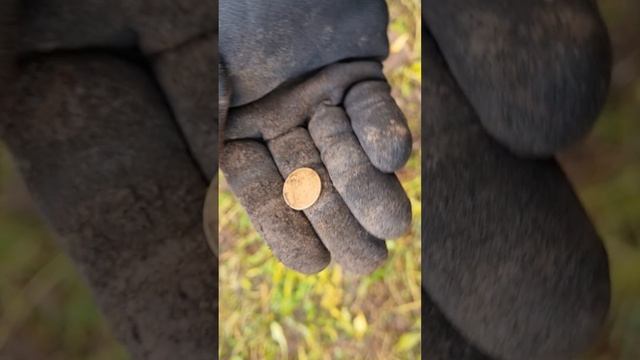 Копаю посередине деревни! #металлокоп, металлоискатель, #деревня,