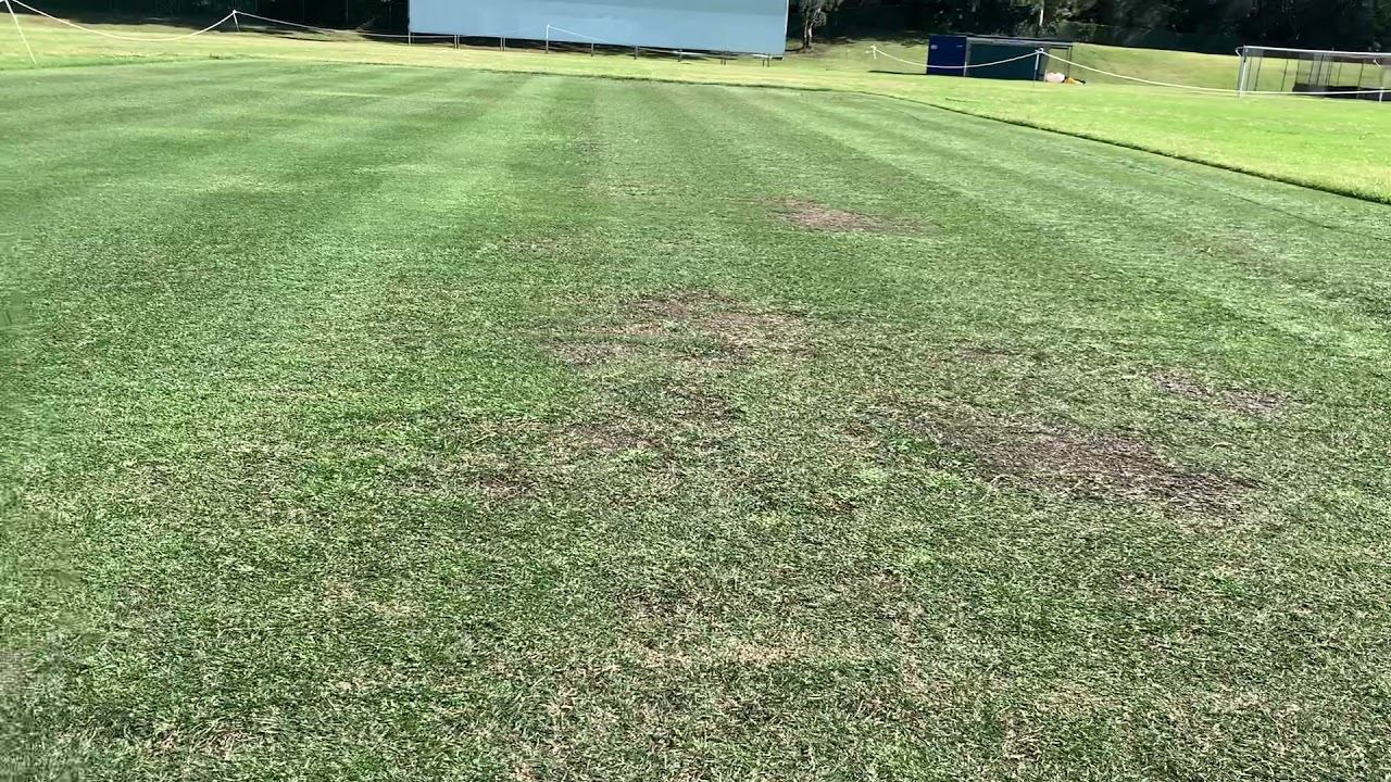 Kiama Cavaliers cricket club square смотреть онлайн