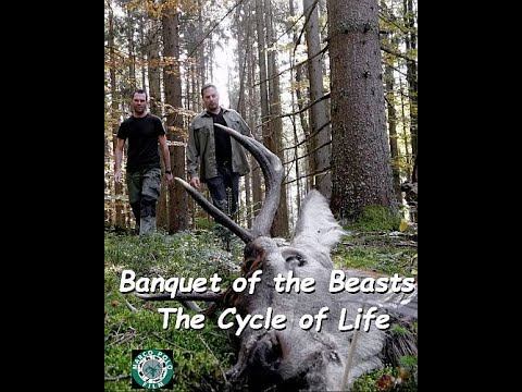 Пир тварей. Круговорот жизни / Banquet of the Beasts - The Cycle of Life смотреть онлайн