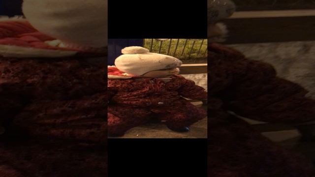 IMG_4070 смотреть онлайн