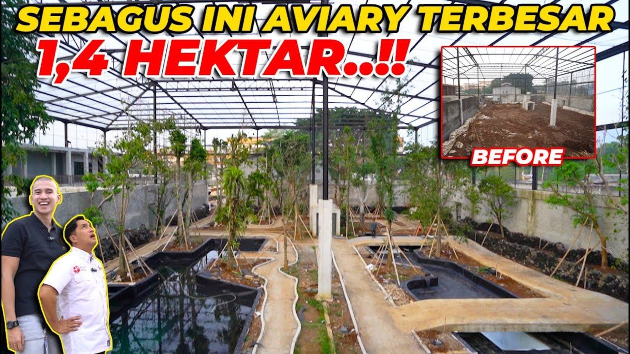 SUMPAHH..! AVIARY 15X LEBIH BESAR DARI AVIARY DEHAKIMS SEBAGUS INI..! BURUNG2 BAKAL NYAMAN BANGET смотреть онлайн