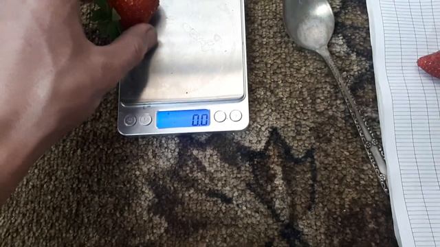 30 дней вегетации клубники урожай часть 3 из 3 смотреть онлайн