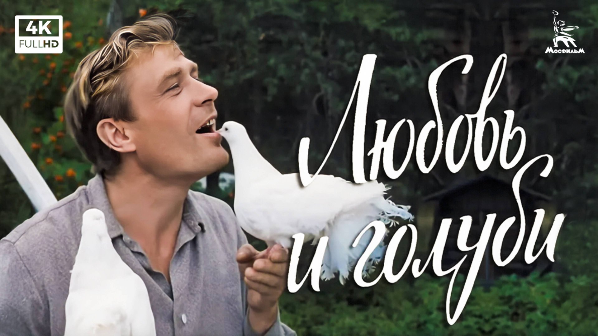 Любовь и голуби (4К, комедия, реж. Владимир Меньшов, 1984 г.) смотреть онлайн