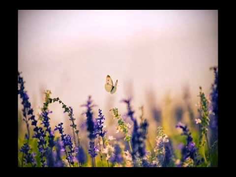 Ченнелинг 6.10.2013. Первоисточник, Гайя - Латуйя