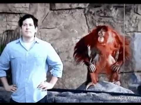 Когда завидуешь что у врагов есть сапорты, а у вас нет. смотреть онлайн