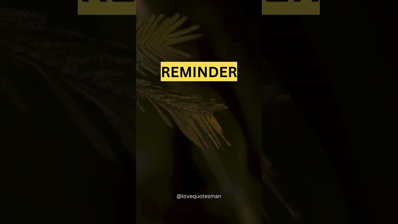 Quote about moving on from a breakup in English and Hindi. #shortsvideo #shortsforyou #shortslove смотреть онлайн