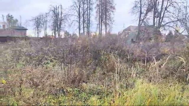 зу 3751 смотреть онлайн
