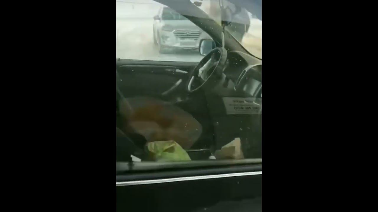 бмв х5 е53 рестайл смотреть онлайн