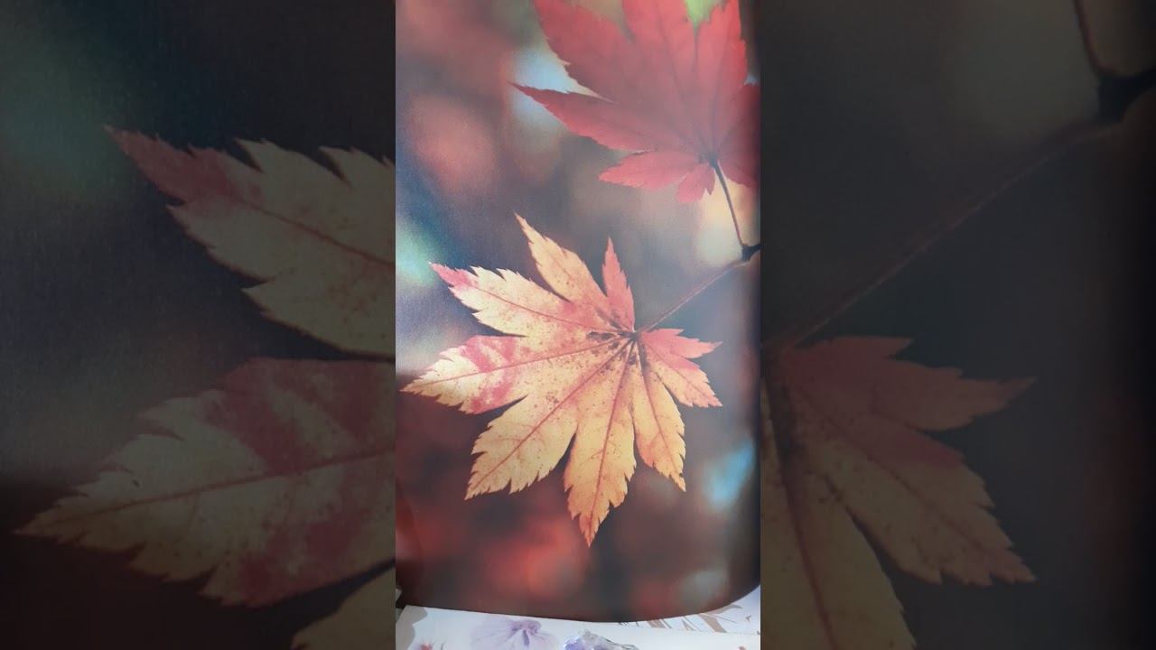 Thomas Mann-Muntele vrăjit.1.Sosire смотреть онлайн