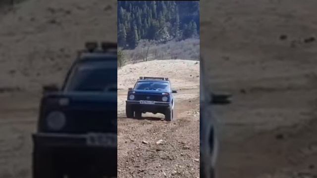 Нива смотреть онлайн