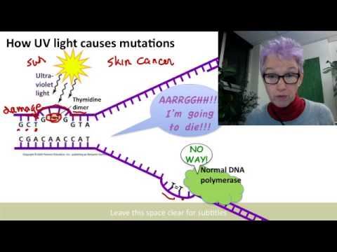 Error-prone polymerase.mp4 смотреть онлайн