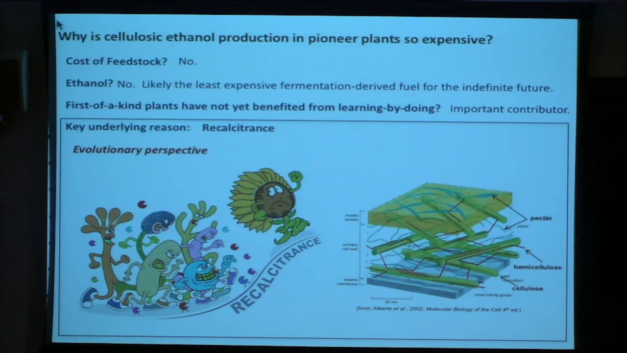 Highlight Seminar Lee Rybeck Lynd, Dartmouth College смотреть онлайн