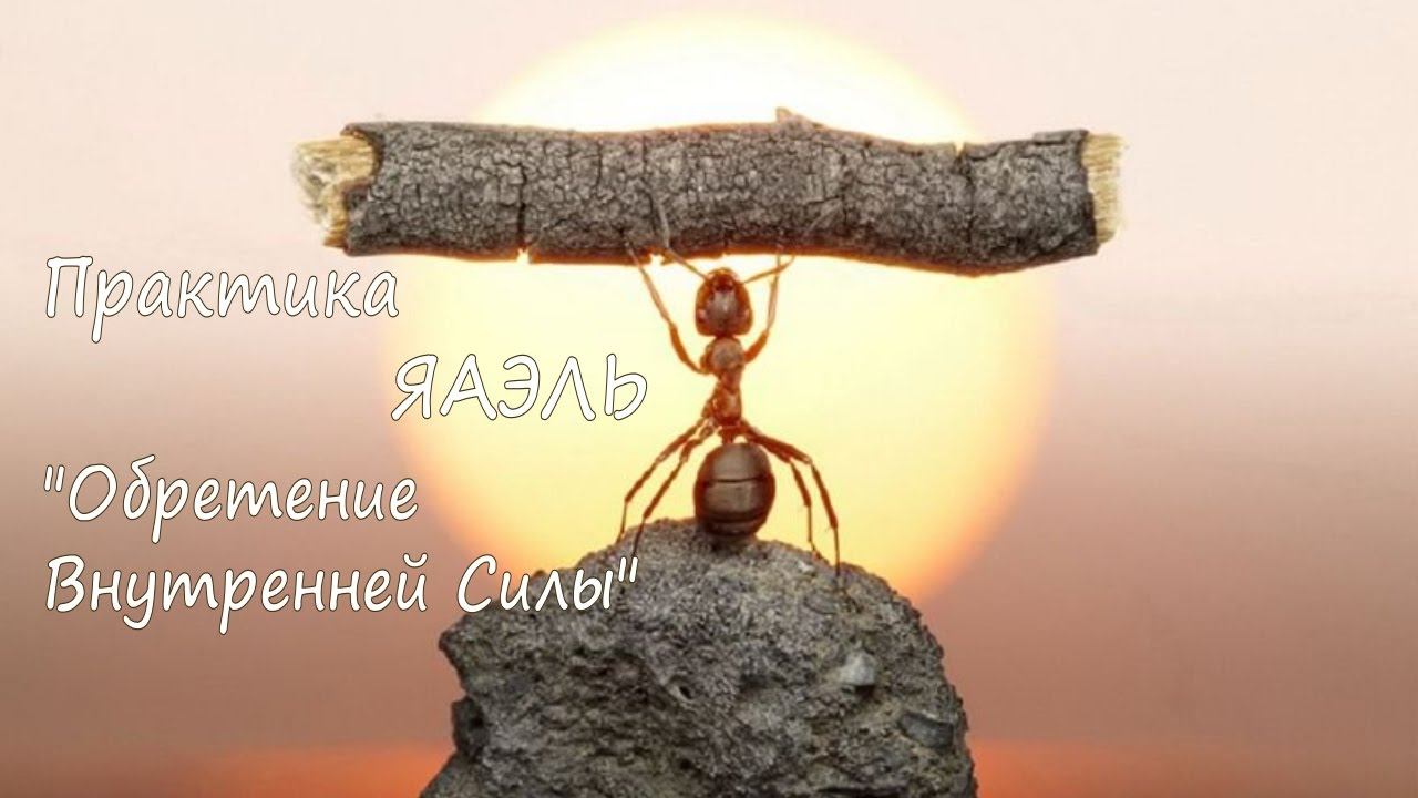 Доброе утро с МААРА и ЯАЭЛЬ! Обретение внутренней силы (12.11.2016) смотреть онлайн