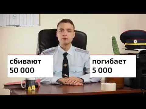 Организация дорожного движения смотреть онлайн