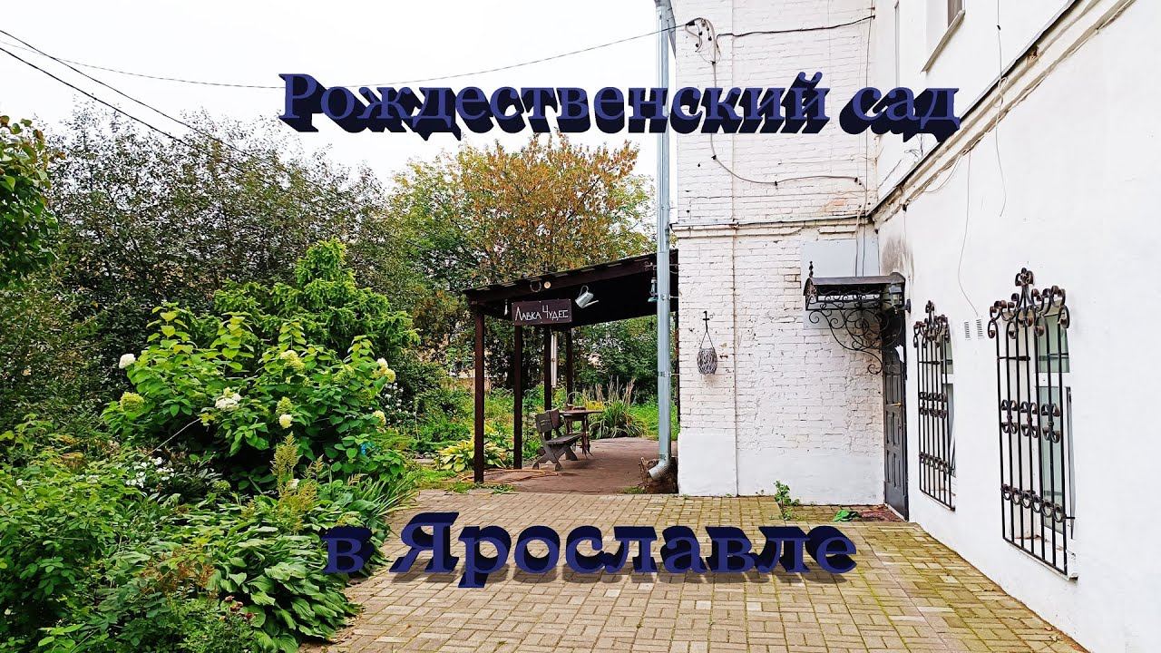 Рождественский сад в Ярославле смотреть онлайн