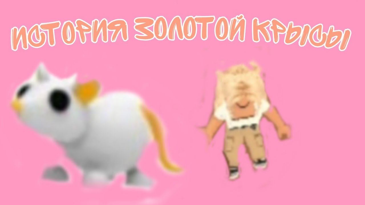 История золотой крысы😍 смотреть онлайн