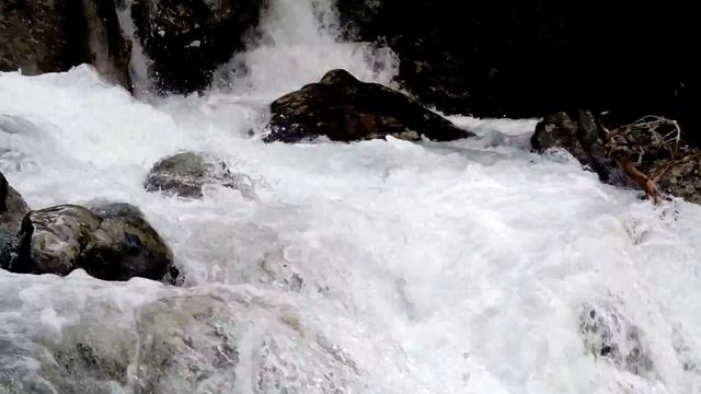 Горная река Северный Кавказ