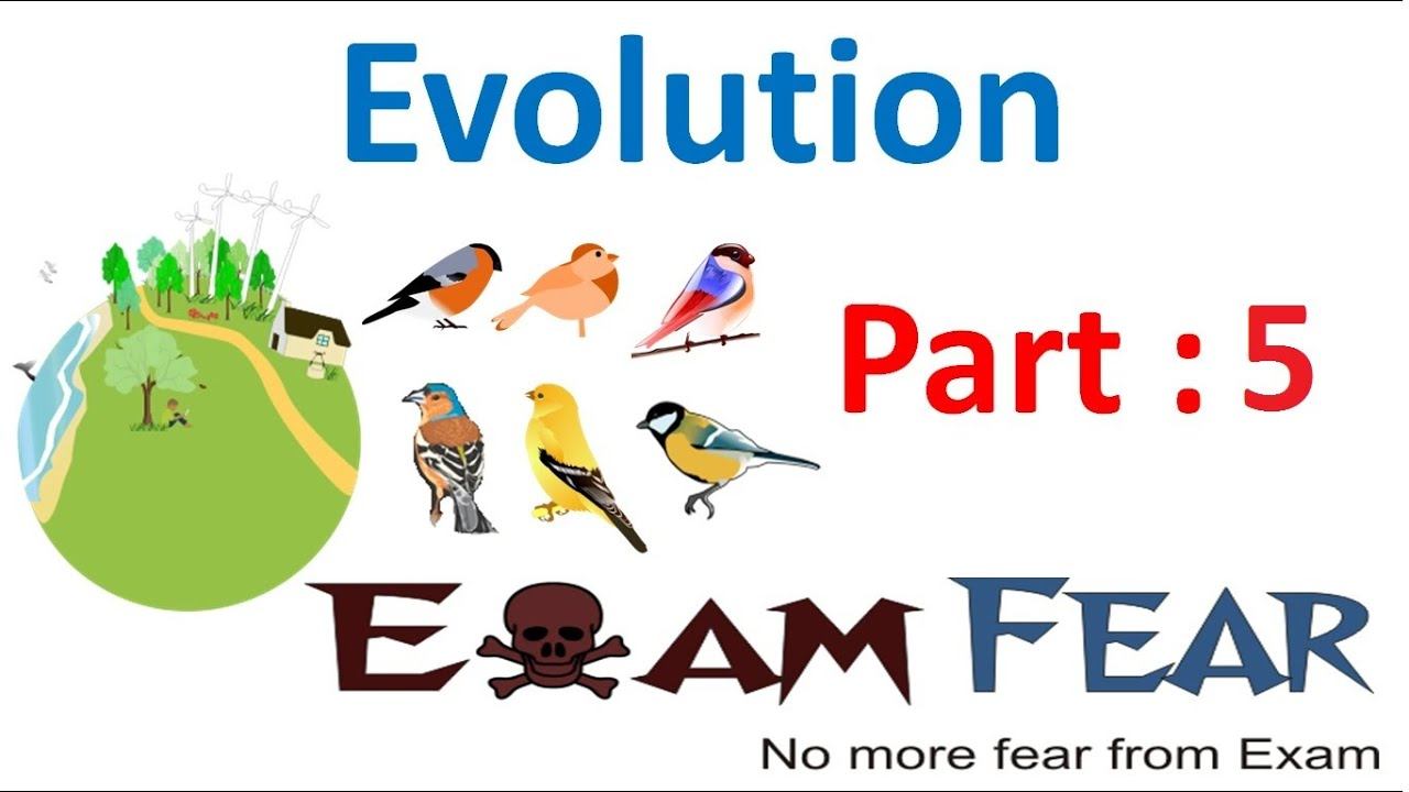 Biology Evolution part 5 (Evidence of Evolution) class 12 XII смотреть онлайн