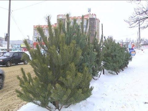 ЁЛОЧНЫЙ БАЗАР смотреть онлайн