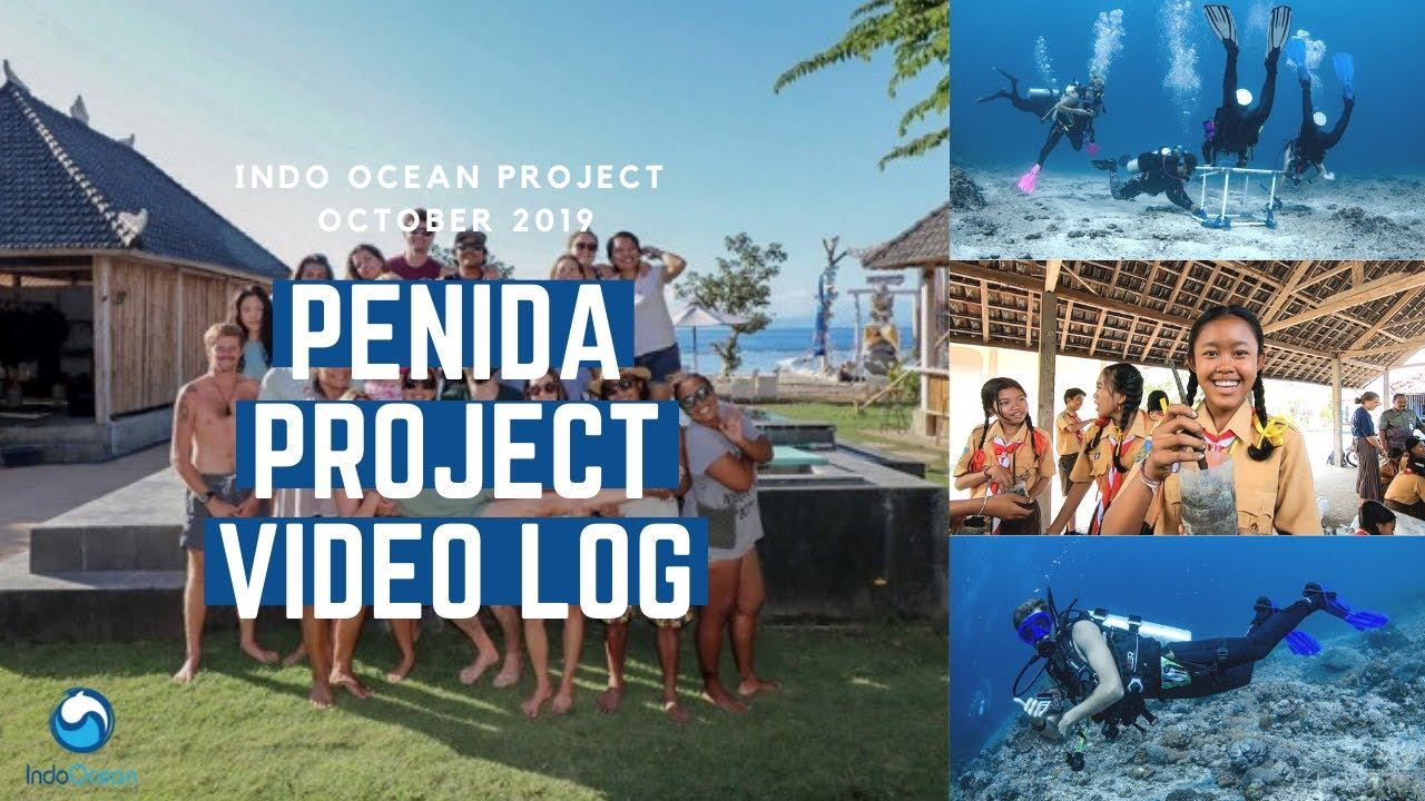 Indo Ocean Project - Penida Project Video Log - October, 2019 смотреть онлайн