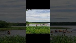 Орлинское озеро, Жара, Июль.