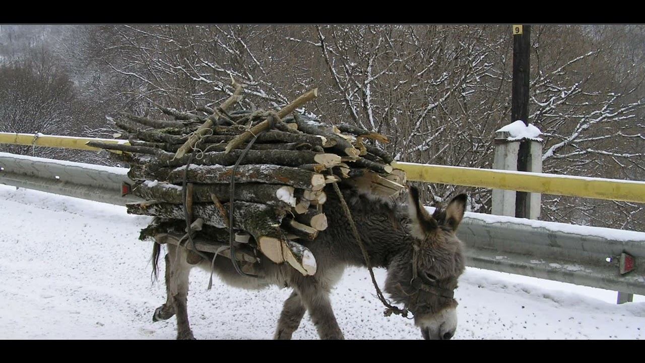 Отец, сын и осёл - Притча смотреть онлайн