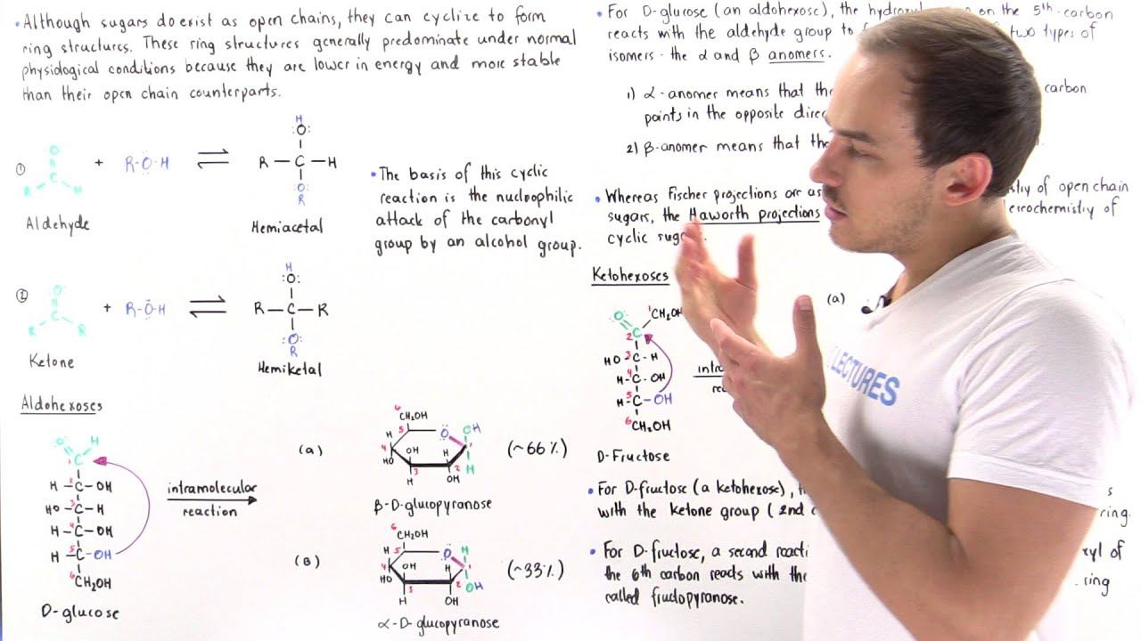 Cyclic Form Of Carbohydrates