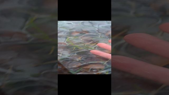 очень твёрдый лёд смотреть онлайн