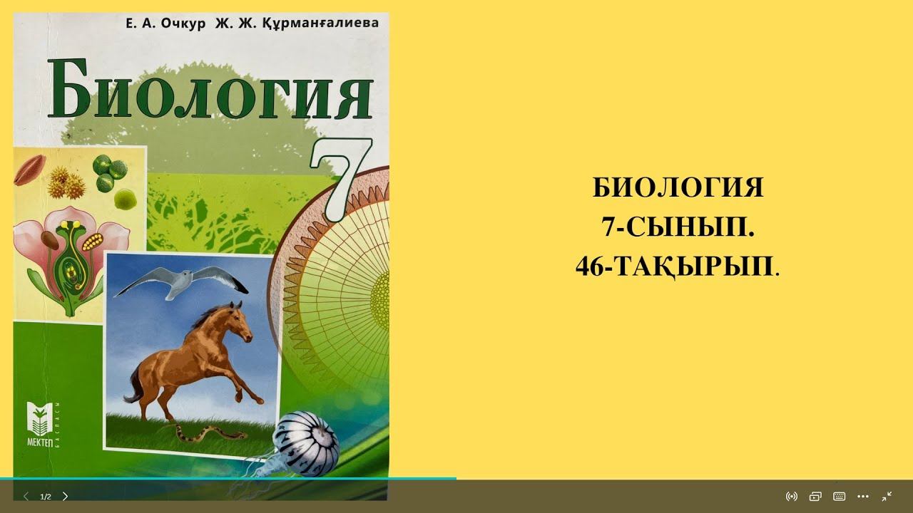 ІШКІ МҮШЕЛЕР ЖҰМЫСЫНЫҢ ЖҮЙКЕЛІК РЕТТЕЛУІ. 7-СЫНЫП. БИОЛОГИЯ смотреть онлайн