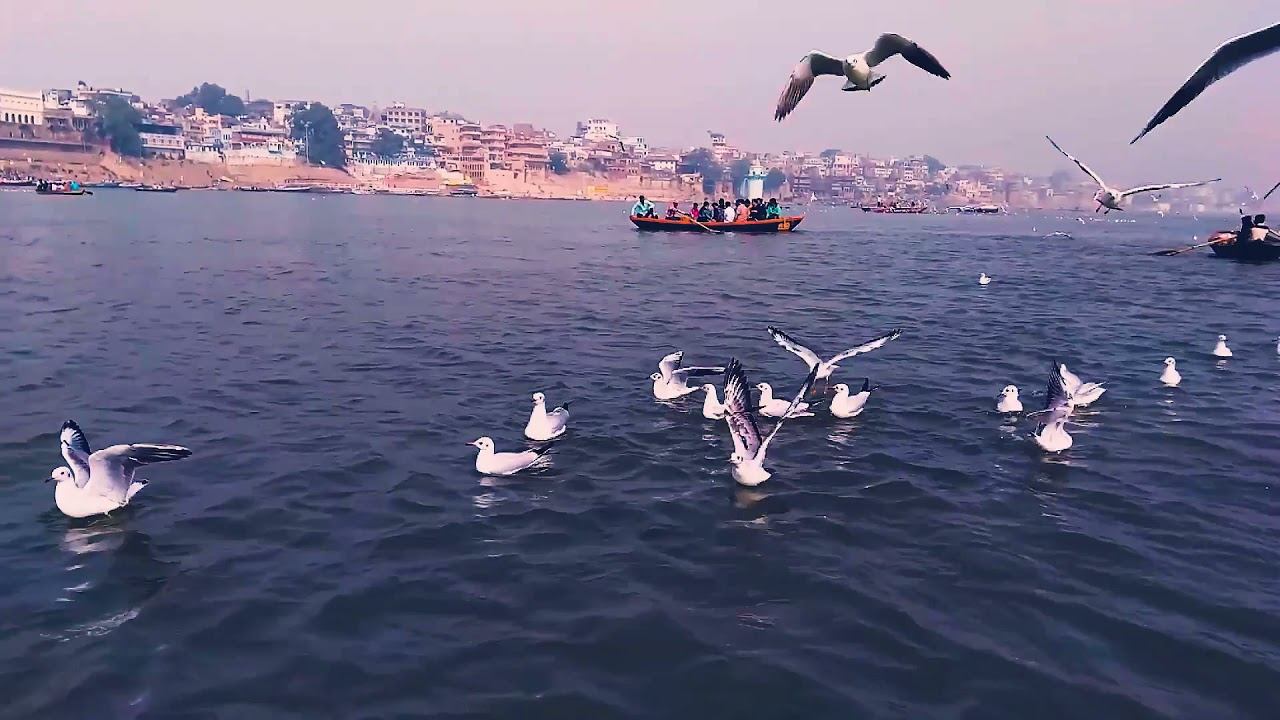 Heart chakra meditation music manifest compassion, empathy, and love смотреть онлайн