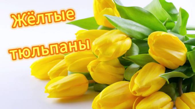 Жёлтые тюльпаны! Ремикс смотреть онлайн