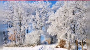 "По тропинке снежком запорошенной"