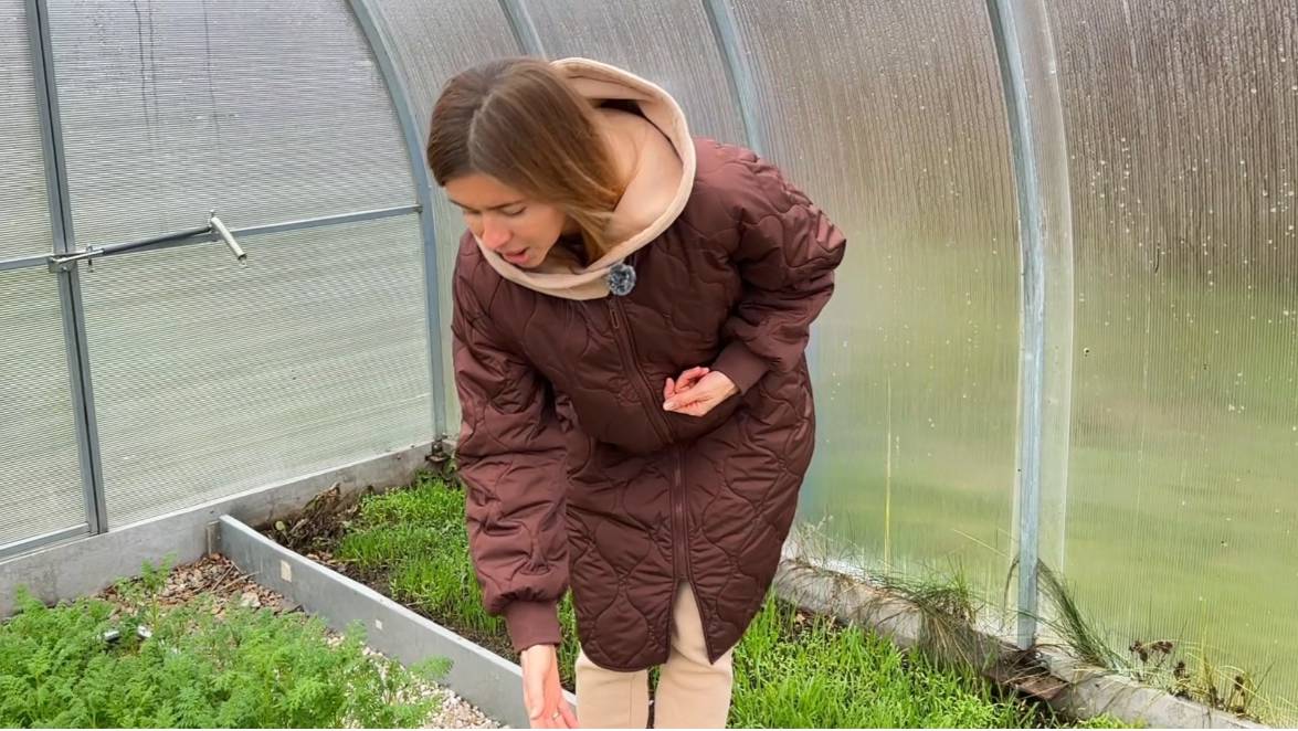 Надо ли менять землю в тепличных грядках? смотреть онлайн