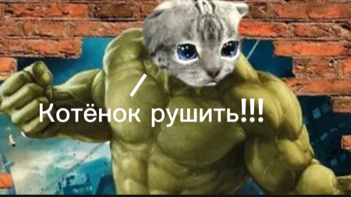 Котёнок ломать, котёнок крушить!!!! смотреть онлайн