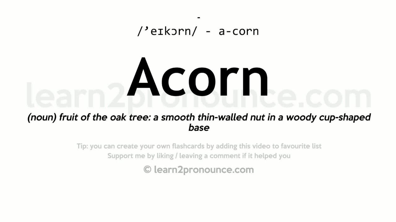 Pronunciation of Acorn | Definition of Acorn смотреть онлайн