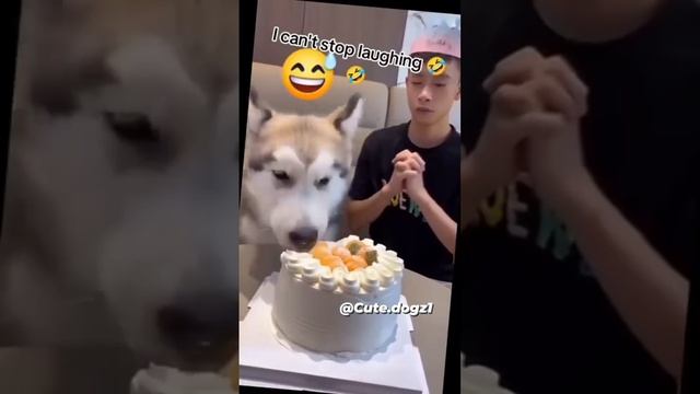 С днём рождения!!))