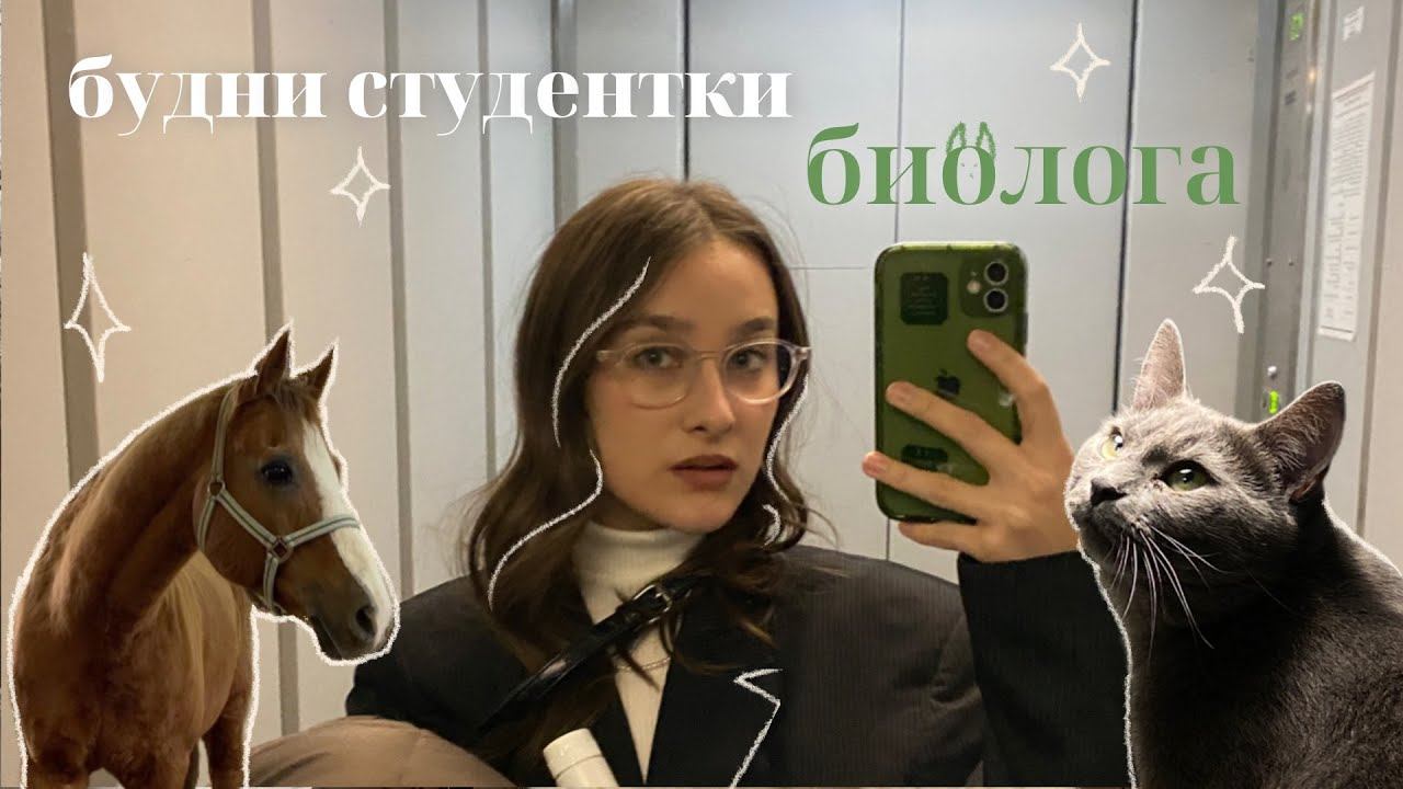 vlog 18: про минусы общаги и студенчество | смешные истории от препода про собачек смотреть онлайн