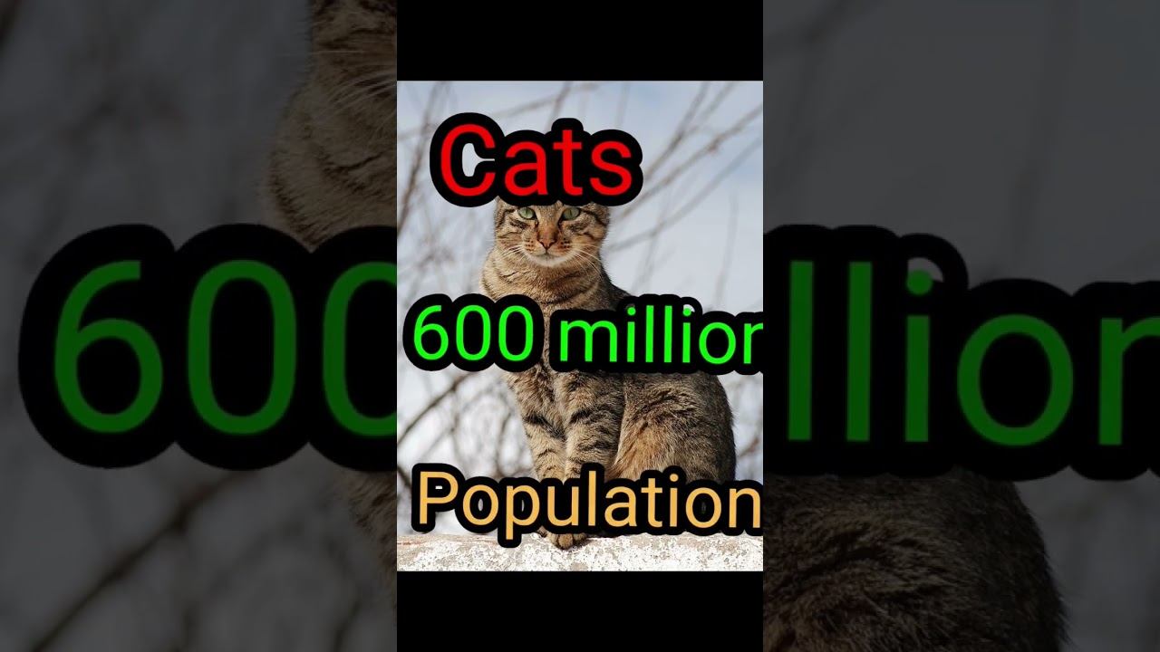 Top 10 Animals population in the world | #shortvideo | #animalpopulation смотреть онлайн