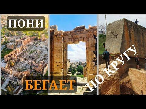 Так антропогенезники жонглируют "фактами" про Баальбек🤡 смотреть онлайн