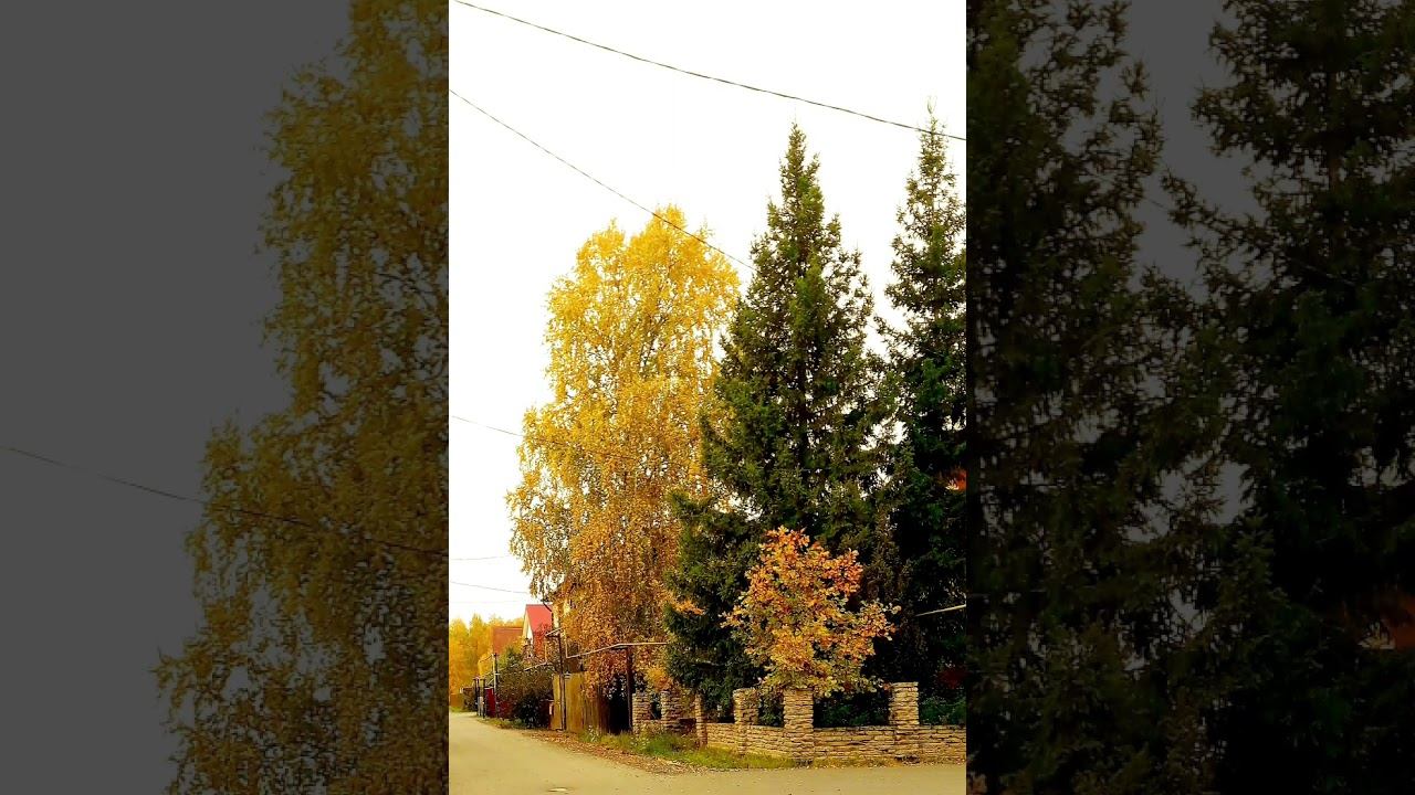 Как хороши вы улочки мои осеннею порой ... смотреть онлайн