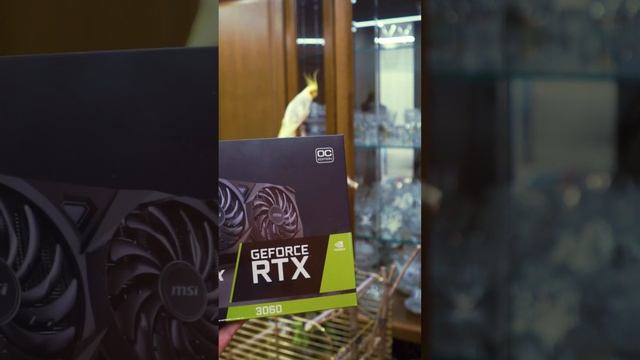 Видеокарта MSI RTX 3060 VENTUS 2X 12G OC #shorts смотреть онлайн