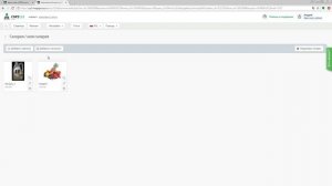 Добавление изображений в галерею CMS.S3 от Мегагрупп.ру